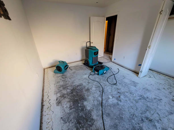 Best Fire Damage Restoration  in Bainbridge, OH
