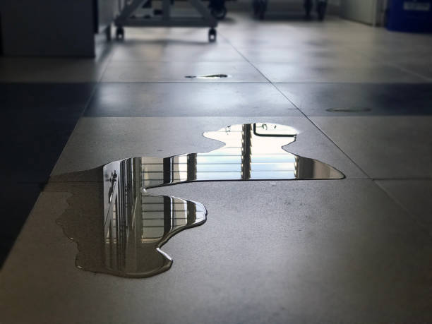 Best Commercial water damage restoration  in Bainbridge, OH