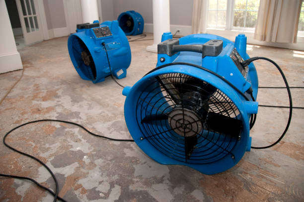 Best Fire Damage Restoration  in Bainbridge, OH