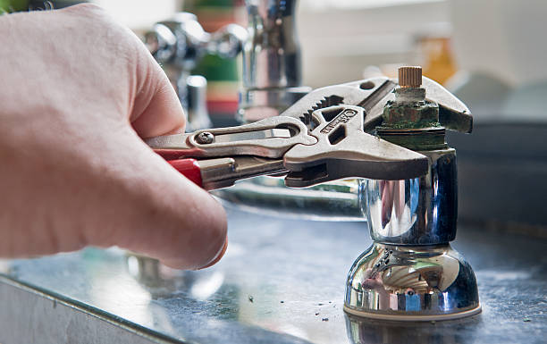 Best Mold removal after water damage  in Bainbridge, OH