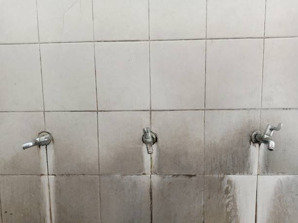 Best Residential water damage restoration  in Bainbridge, OH