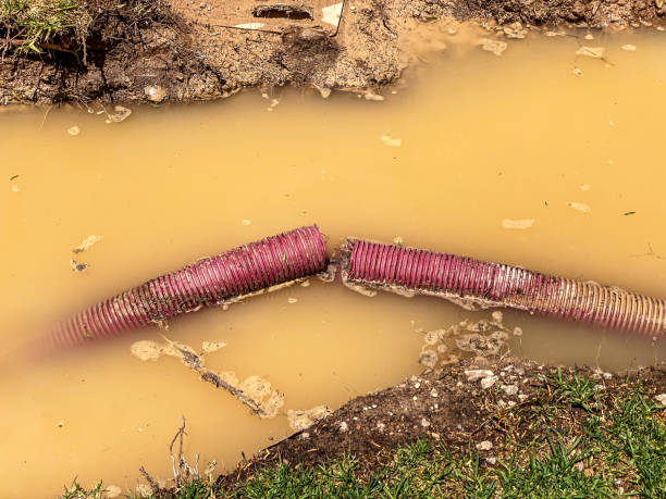 Best Emergency water damage restoration  in Bainbridge, OH