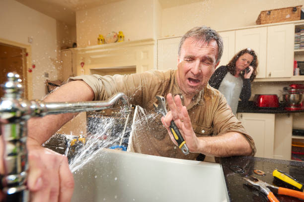 Best Basement water damage restoration  in Bainbridge, OH